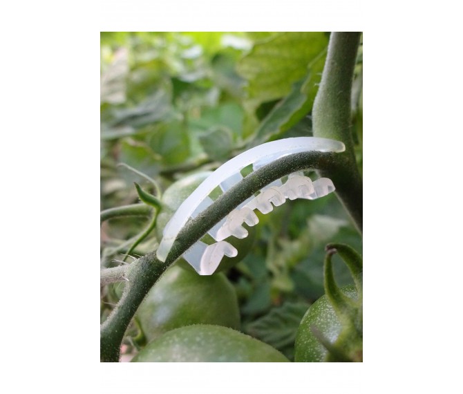 salkım tutucu (tırtıl)