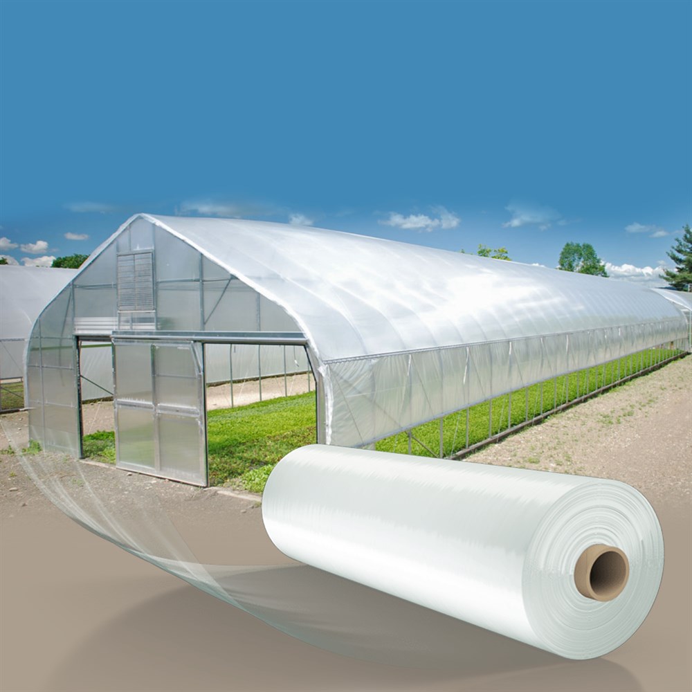 sera naylonu 12 aylık